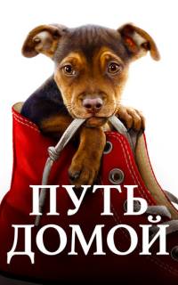 Путь домой Путь домой