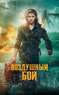 Воздушный бой Воздушный бой