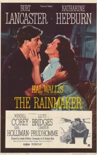 Продавец дождя