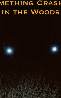 Крушение в лесу